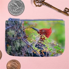 Woodpecker At Forest Pecking Tree, Patagonia, Argentina Large Coin Purse by dflcprints