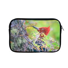 Woodpecker At Forest Pecking Tree, Patagonia, Argentina Apple Macbook Pro 13  Zipper Case by dflcprints