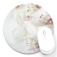 Orchids Flowers White Background Round Mousepads by Nexatart