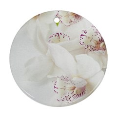 Orchids Flowers White Background Ornament (round) by Nexatart