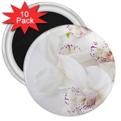 Orchids Flowers White Background 3  Magnets (10 Pack)  by Nexatart