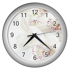 Orchids Flowers White Background Wall Clocks (silver)  by Nexatart