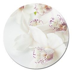 Orchids Flowers White Background Magnet 5  (round) by Nexatart