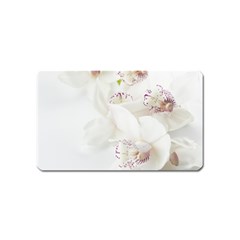 Orchids Flowers White Background Magnet (name Card) by Nexatart