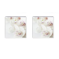 Orchids Flowers White Background Cufflinks (square) by Nexatart