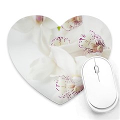 Orchids Flowers White Background Heart Mousepads by Nexatart