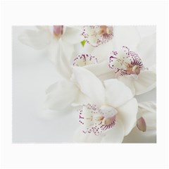 Orchids Flowers White Background Small Glasses Cloth (2-side) by Nexatart