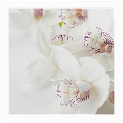 Orchids Flowers White Background Medium Glasses Cloth by Nexatart