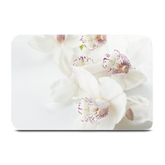 Orchids Flowers White Background Plate Mats by Nexatart