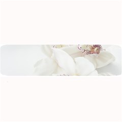 Orchids Flowers White Background Large Bar Mats by Nexatart