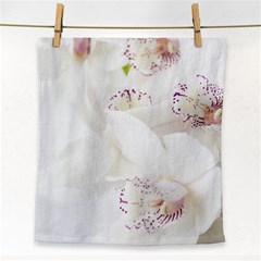 Orchids Flowers White Background Face Towel by Nexatart