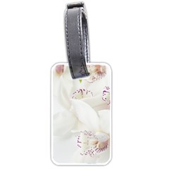 Orchids Flowers White Background Luggage Tags (one Side)  by Nexatart