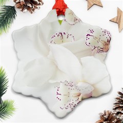 Orchids Flowers White Background Ornament (snowflake) by Nexatart