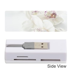 Orchids Flowers White Background Memory Card Reader (stick)  by Nexatart