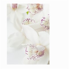 Orchids Flowers White Background Large Garden Flag (two Sides) by Nexatart