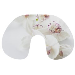 Orchids Flowers White Background Travel Neck Pillows by Nexatart