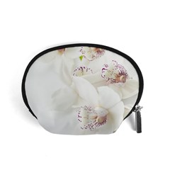 Orchids Flowers White Background Accessory Pouches (small)  by Nexatart