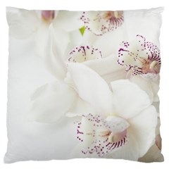 Orchids Flowers White Background Large Flano Cushion Case (two Sides) by Nexatart