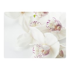 Orchids Flowers White Background Double Sided Flano Blanket (mini)  by Nexatart