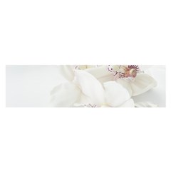 Orchids Flowers White Background Satin Scarf (oblong) by Nexatart