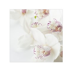 Orchids Flowers White Background Small Satin Scarf (square) by Nexatart