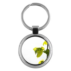 Leaves Nature Key Chains (round)  by Nexatart