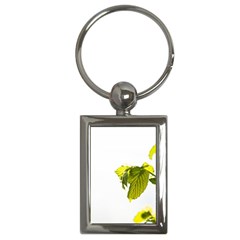 Leaves Nature Key Chains (rectangle)  by Nexatart