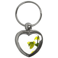 Leaves Nature Key Chains (heart)  by Nexatart