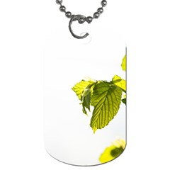 Leaves Nature Dog Tag (two Sides) by Nexatart