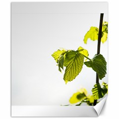 Leaves Nature Canvas 8  X 10  by Nexatart