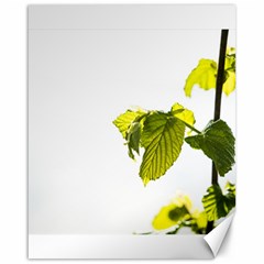 Leaves Nature Canvas 16  X 20   by Nexatart