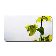 Leaves Nature Medium Bar Mats by Nexatart