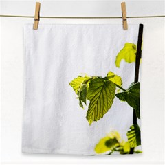 Leaves Nature Face Towel by Nexatart