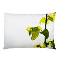 Leaves Nature Pillow Case by Nexatart