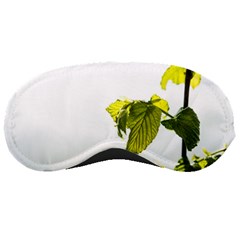 Leaves Nature Sleeping Masks by Nexatart