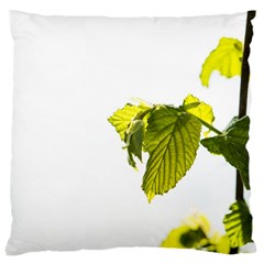 Leaves Nature Large Cushion Case (one Side) by Nexatart