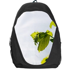 Leaves Nature Backpack Bag by Nexatart