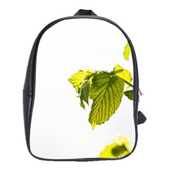 Leaves Nature School Bags (xl)  by Nexatart