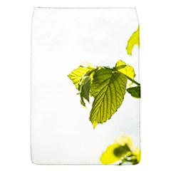 Leaves Nature Flap Covers (s)  by Nexatart