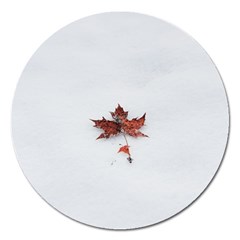 Winter Maple Minimalist Simple Magnet 5  (round) by Nexatart