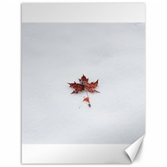 Winter Maple Minimalist Simple Canvas 12  X 16   by Nexatart