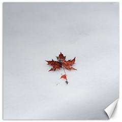 Winter Maple Minimalist Simple Canvas 16  X 16   by Nexatart