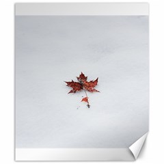 Winter Maple Minimalist Simple Canvas 20  X 24   by Nexatart