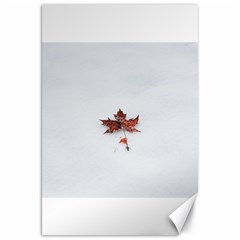 Winter Maple Minimalist Simple Canvas 20  X 30   by Nexatart