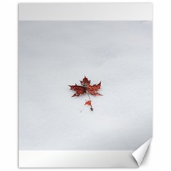 Winter Maple Minimalist Simple Canvas 11  X 14   by Nexatart