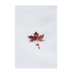 Winter Maple Minimalist Simple Shower Curtain 48  X 72  (small)  by Nexatart