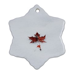 Winter Maple Minimalist Simple Ornament (snowflake) by Nexatart