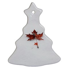 Winter Maple Minimalist Simple Ornament (christmas Tree)  by Nexatart