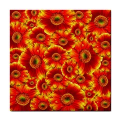 Gerbera Flowers Nature Plant Tile Coasters by Nexatart