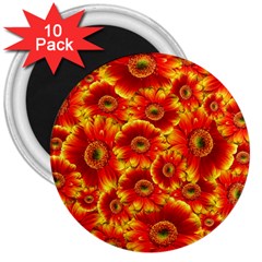 Gerbera Flowers Nature Plant 3  Magnets (10 Pack)  by Nexatart